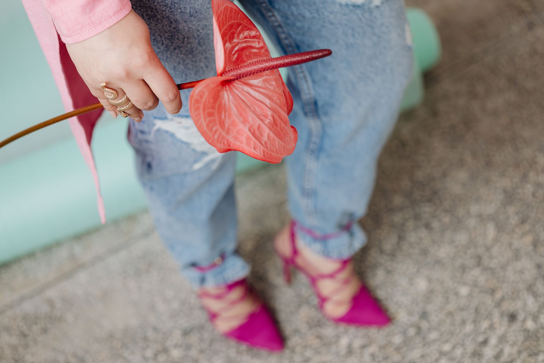 Chic fashion with ripped jeans, pink heels, and anthurium flower for a modern look.