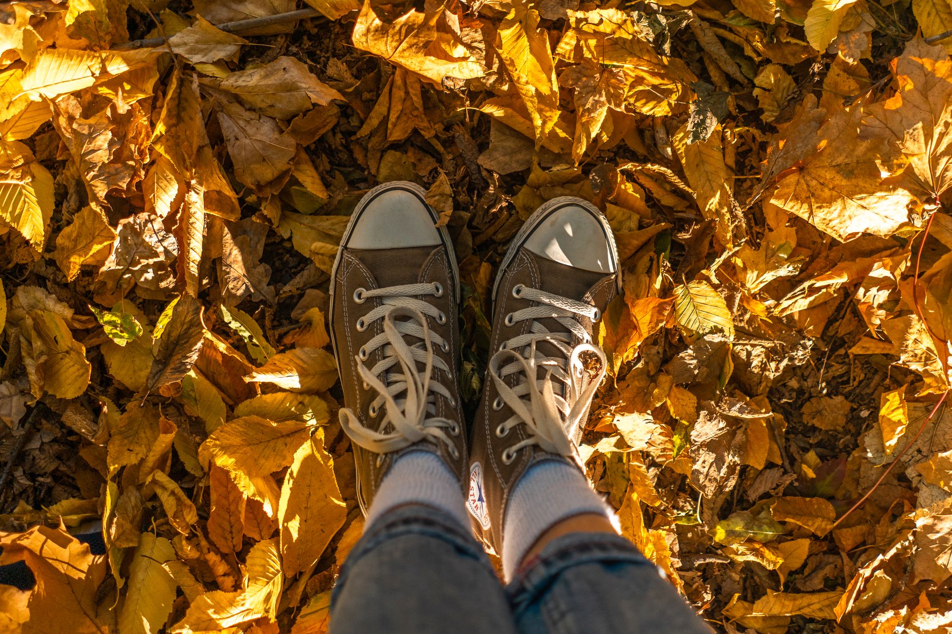 Person wearing sneakers standing on vibrant autumn leaves in sunlight.