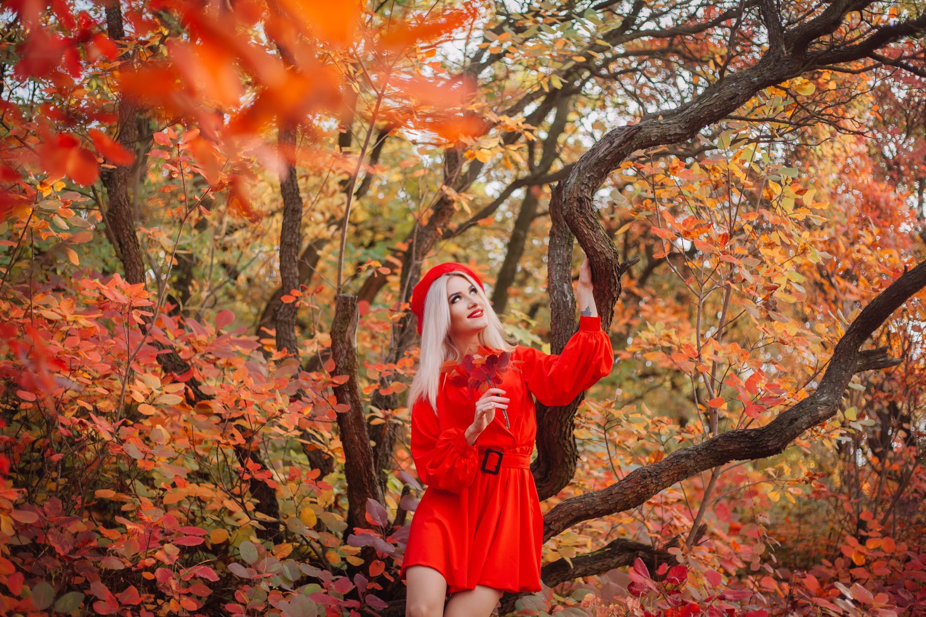 A woman in a red dress enjoying the beauty of a vibrant autumn forest scene.