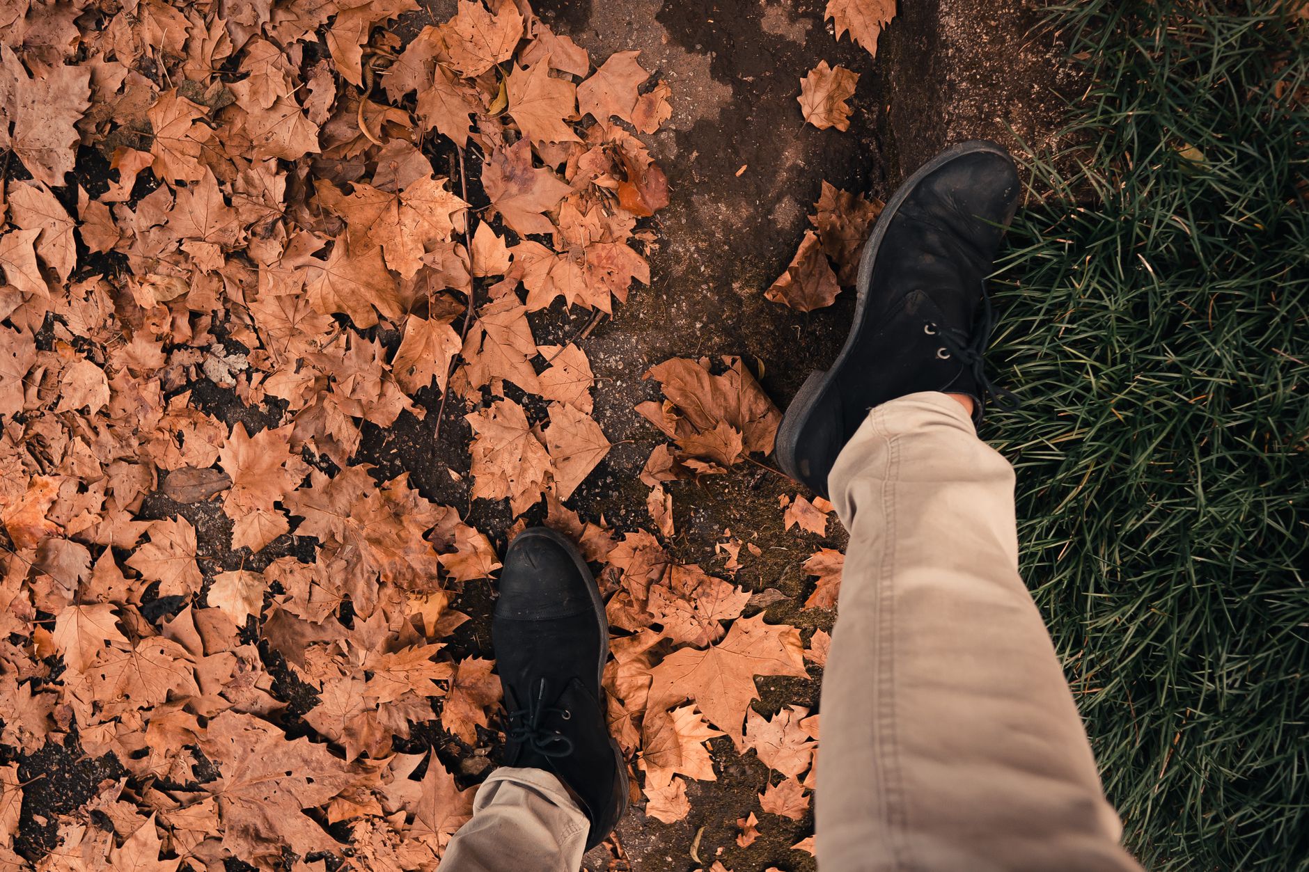 Top view of crop anonymous male in trendy boots and trousers promenading among dry leaves near fresh green grass