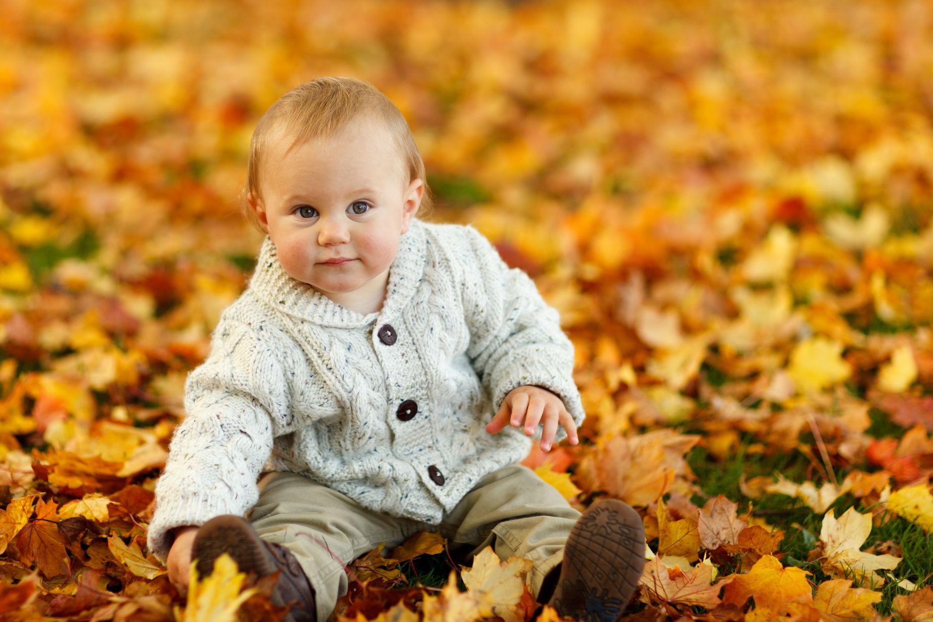 Cute baby in a sweater playing among colorful autumn leaves outdoors.