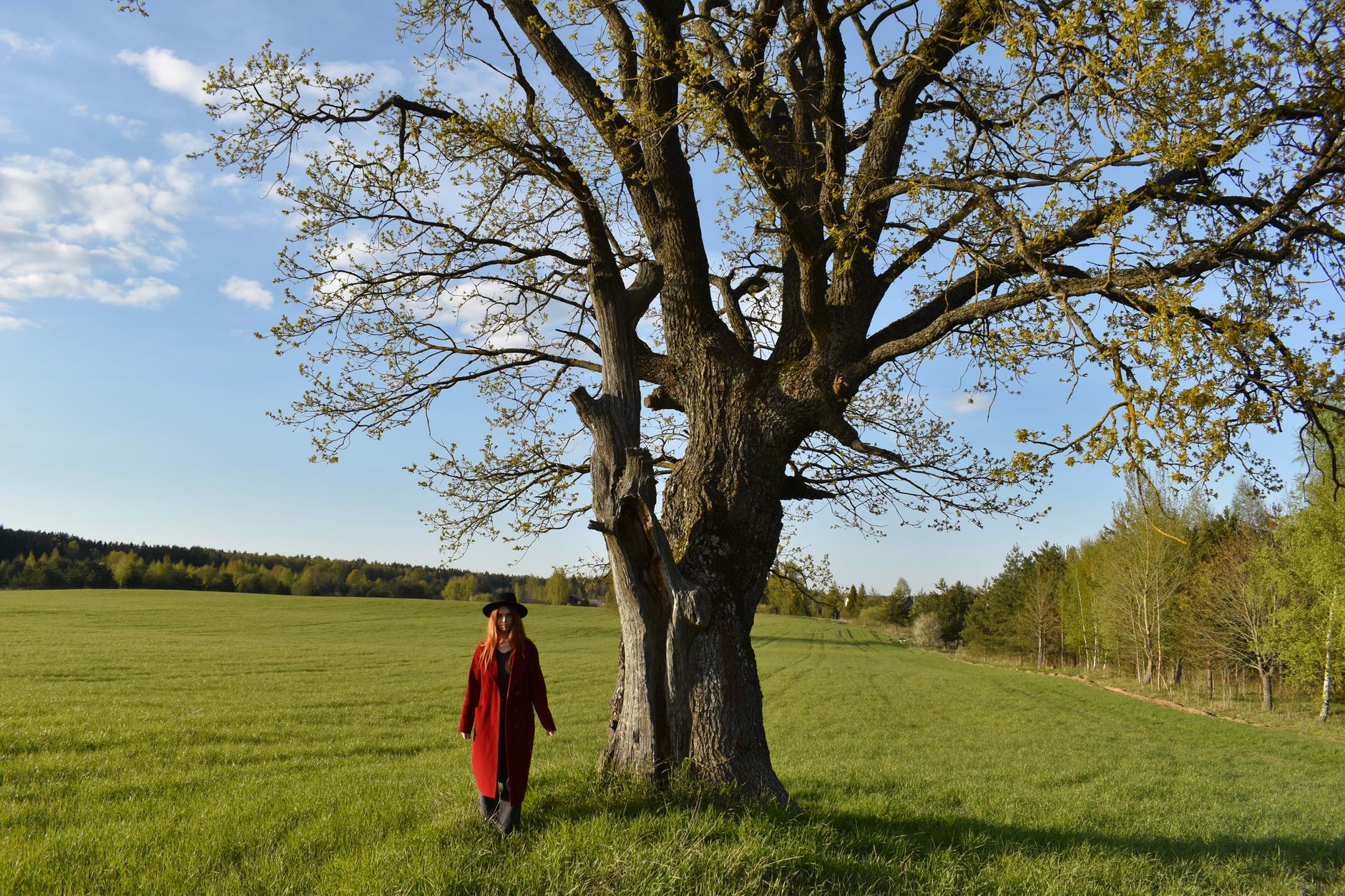 A woman in a red coat stands by a large oak tree in a serene rural landscape.