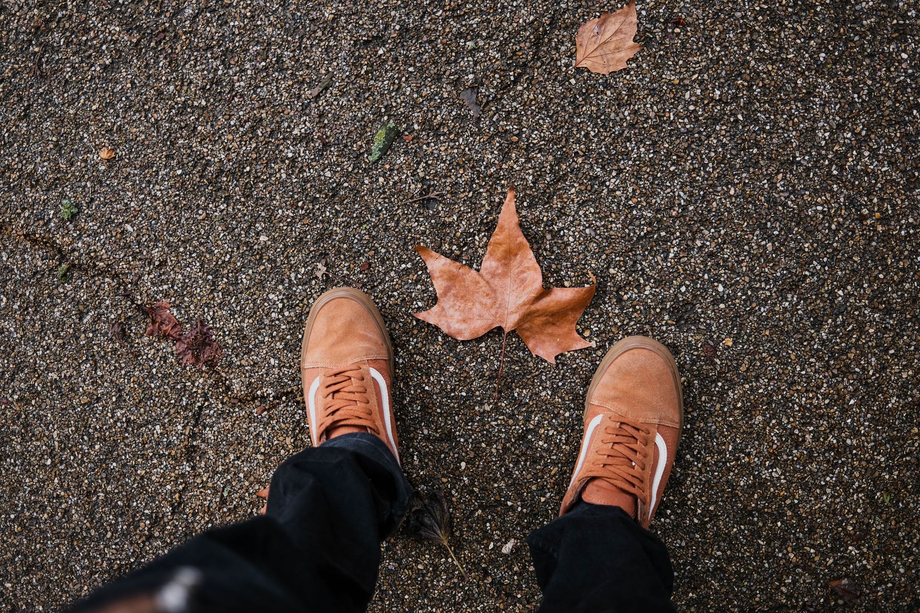 A pair of sneakers stand on a gravel path with autumn leaves, showcasing seasonal fashion.